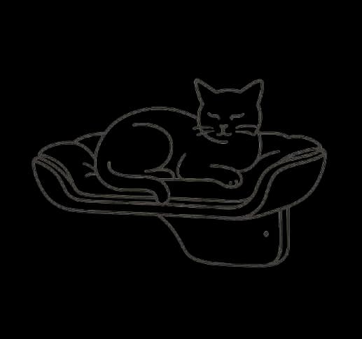 Katt som sover trygt på pensjonatet