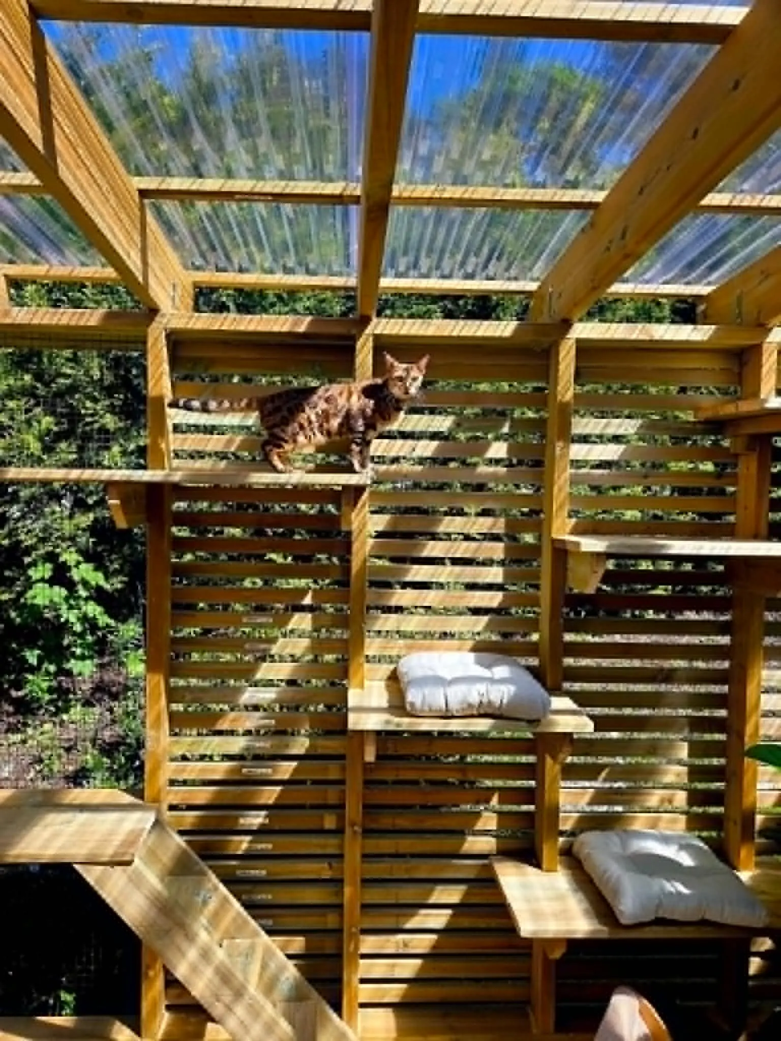 Kattegård ved Mathopen Kattepensjonat – romslig uteområde for kattene
